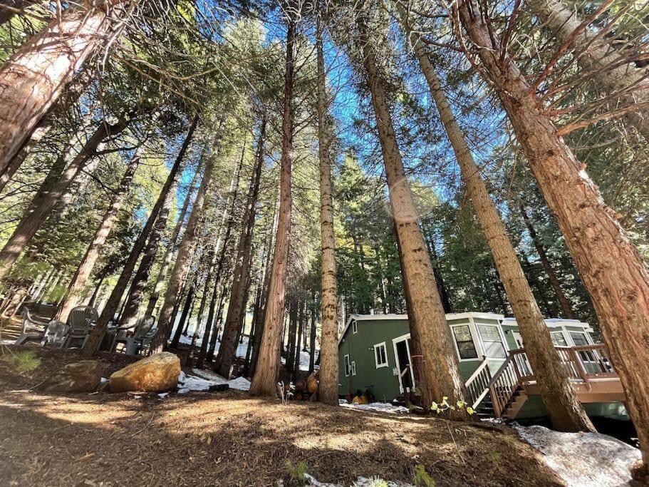 Cedar Oasis - Home Base To Big Trees Arnold Exterior foto